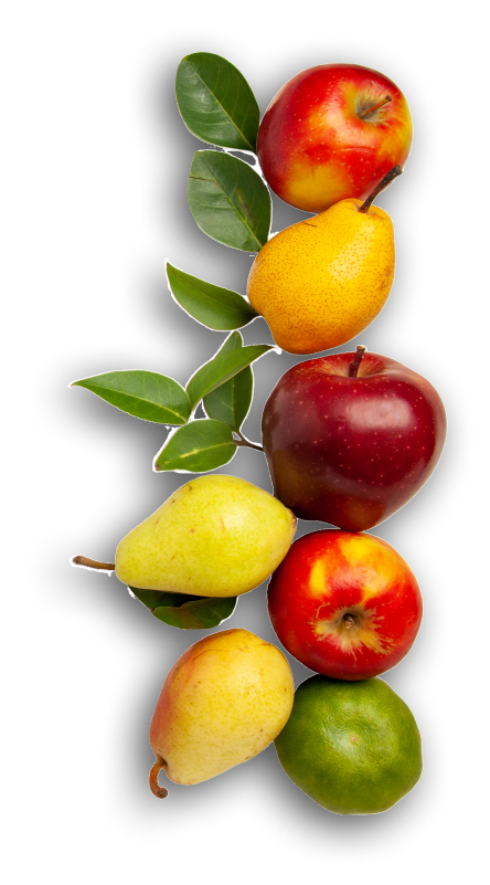 fruits-1